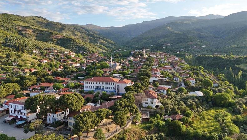 Yerelden küresele yeşil dönüşüm