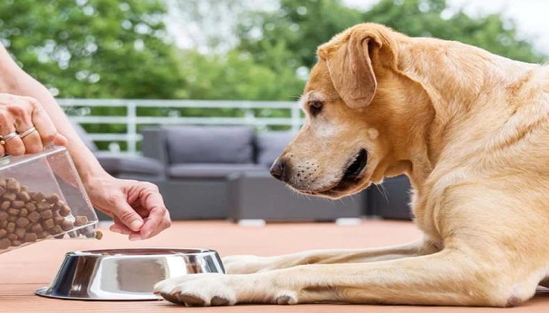 Patili dostunuzun maması orijinal mi? Tek tıkla sorgulanabiliyor