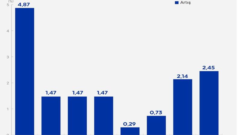Borsa, altın, dolar, fonlar: Bu hafta hangisi kazandırdı?