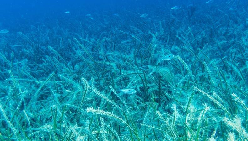 42 milyar dolarlık görünmez tehlike kapıda