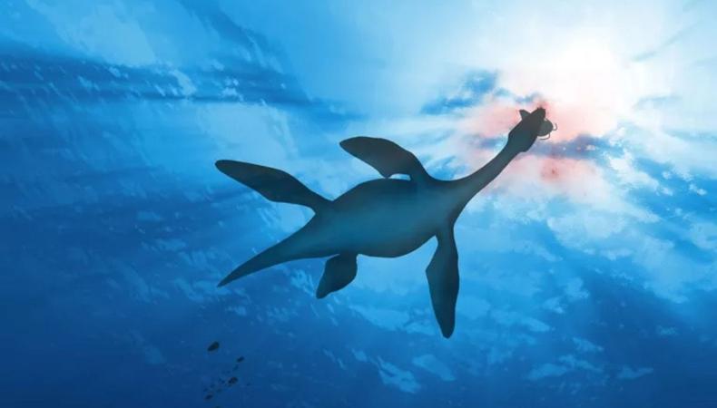 Dünya'da sanıldığından iki kat daha fazla omurgalı türü olabilir