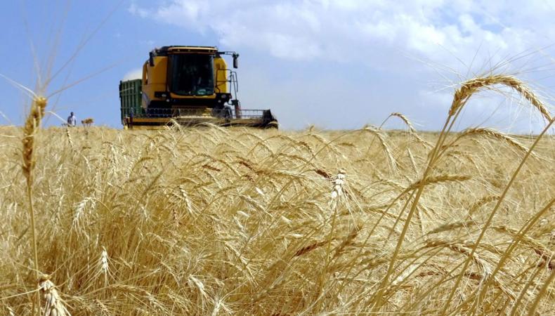 Dev yatırımla kurulan tarım bölgesi 1000 kişiye istihdam sağlayacak