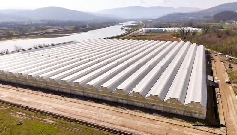 Dev yatırımla kurulan tarım bölgesi 1000 kişiye istihdam sağlayacak