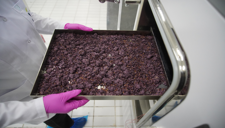 Girişimci şirket farklı bir sistem kullanıyor, yurt dışına ihraç ediliyor