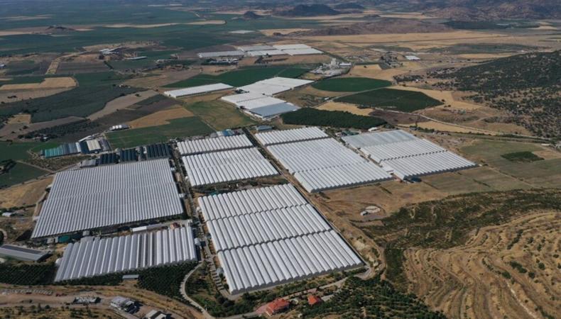 İzmir ve Ege'deki 8 ilde hangi sektörler için teşvik olacak?