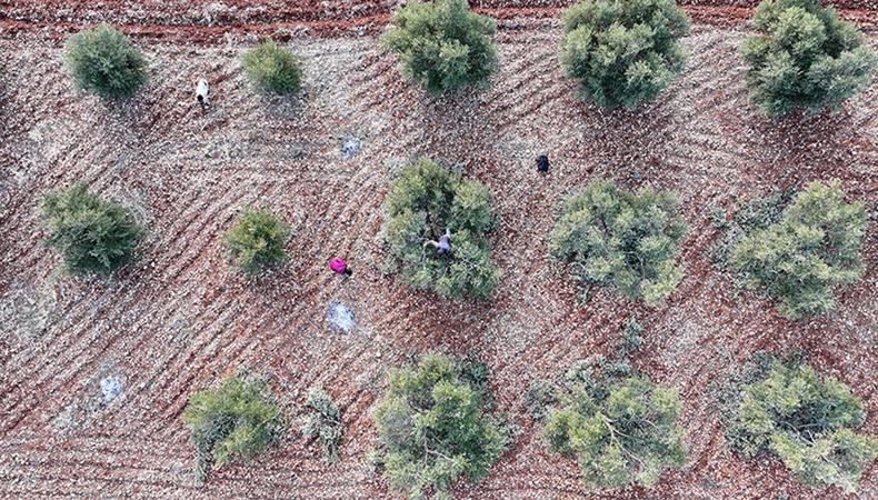 9 ilde 301 milyon liralık yatırım desteği: İşte o şehirler