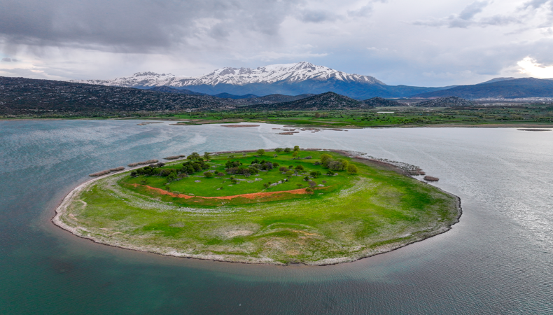 Bu ada Türkiye'de: Koyun ve keçilerini bıraktı, böyle yetiştiriyor