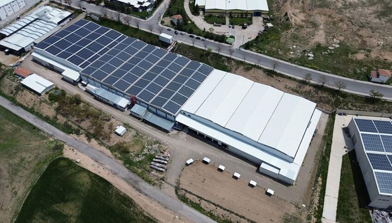 Yozgat'ta üretiyor Avrupa'ya satıyor: Maliyeti sıfırlayan fabrikanın ihracat sırrı ne?