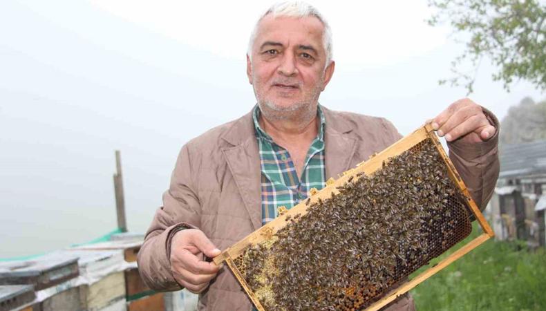 Dünyaca ünlü balda yeni sezon başladı: Kavanozu altın değerinde