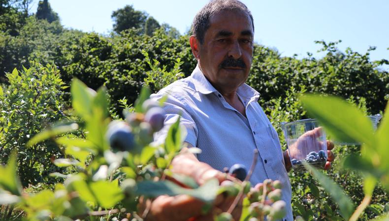 Tarım fuarında gördüğü meyve hayatını değiştirdi: 250 fidandan 1 ton hasada