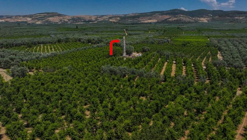 İznik'teki bu kulenin ilginç öyküsü: Sürgünden dönmüş