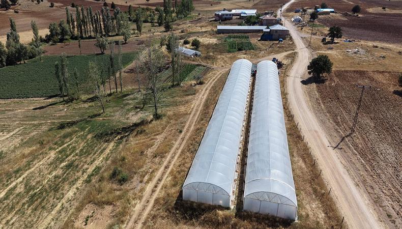 Olmaz denilen yerde sera kuruldu: 20 ton ürün bekleniyor