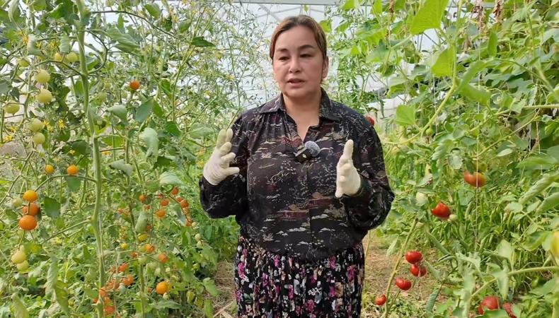 Diplomasını bir kenara bıraktı, çocukluk merakını mesleğe dönüştürdü