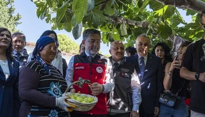 Hasat bereketiyle geldi: Türkiye dünya üretim zirvesine yerleşti