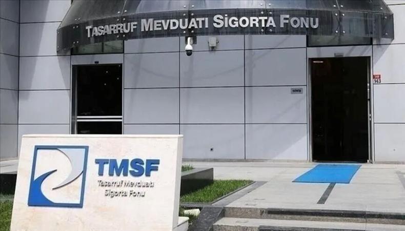 TMSF iki şirketi satışa çıkardı