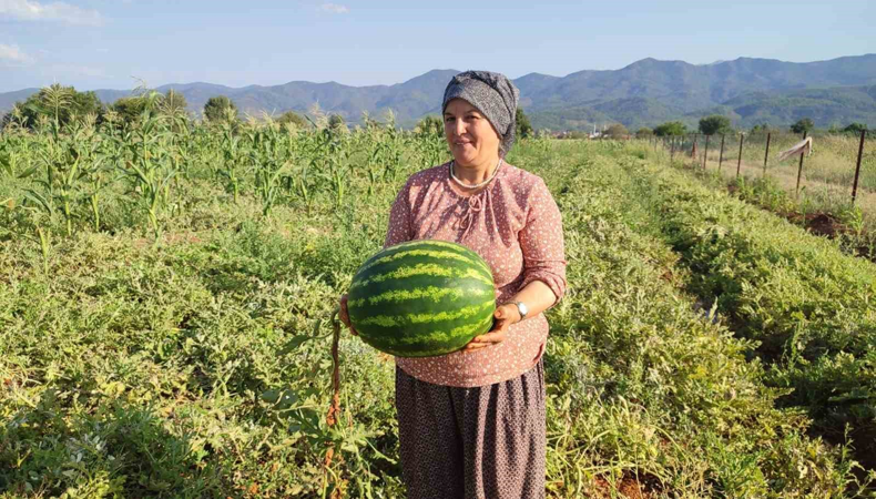 2 dönümden 10 ton ürün aldı: İşin sırrını anlattı