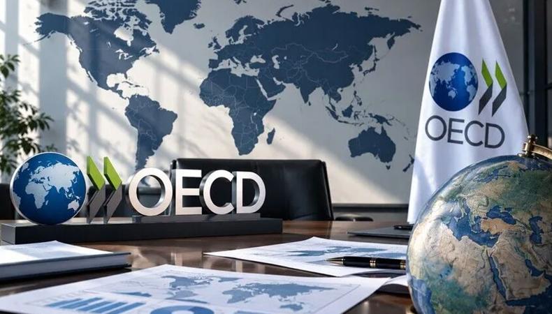 OECD'den Türkiye ekonomisi için yeni büyüme tahmini
