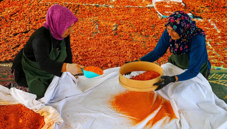 İmece usulü üretip yılda 6 ton satıyorlar: "Eşimizin eline bakmıyoruz"