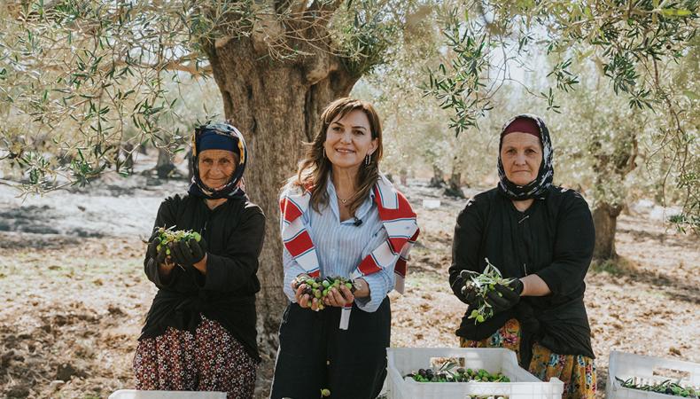 52 dönümden dünya pazarlarına: Zeytinyağında büyümenin formülü