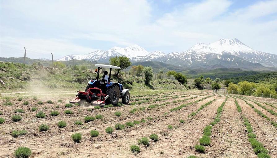 Alarko'dan tarımda kadın girişimcilere hibe desteği